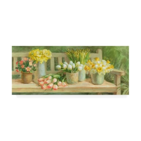 Danhui Nai 'Spring Garden Bench' Canvas Art,14x32